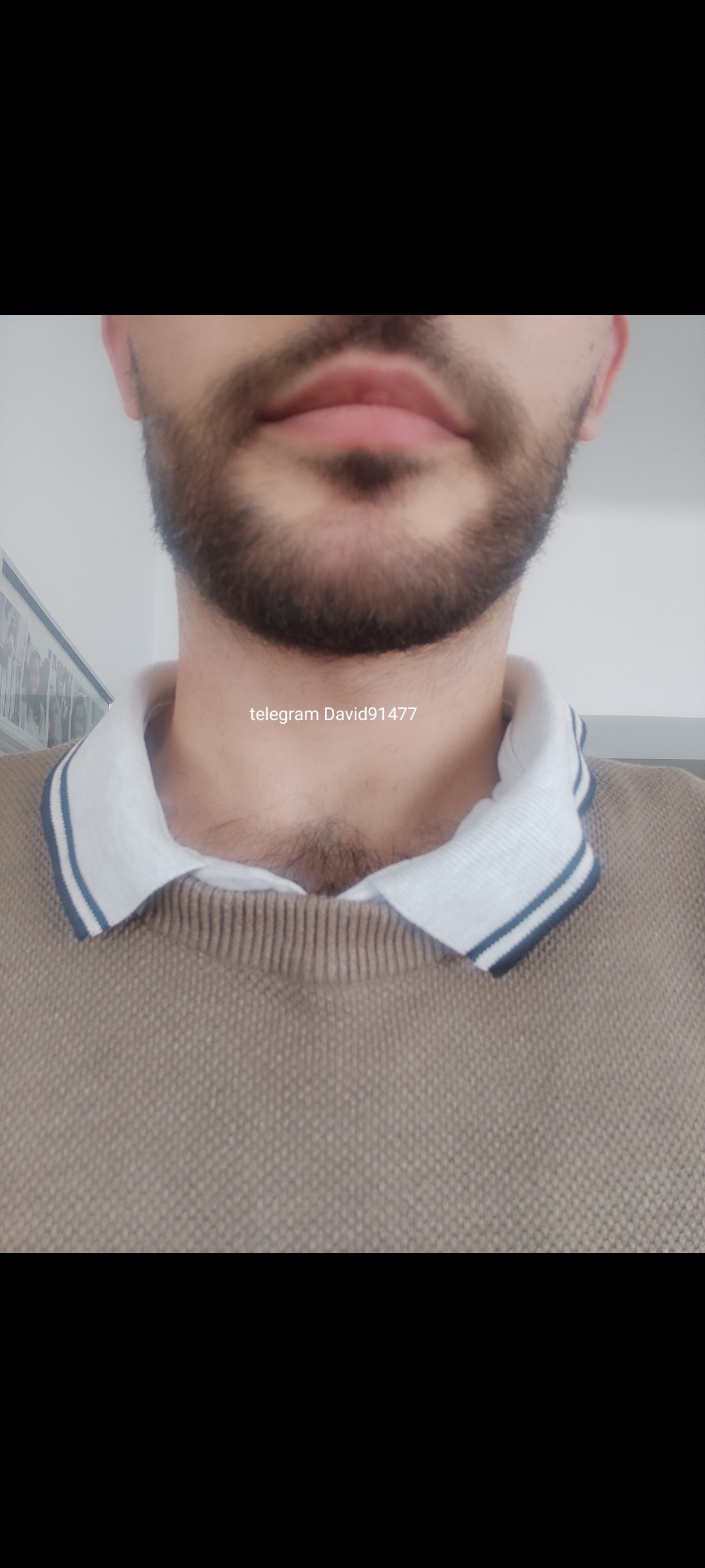 Profil von Venceslas