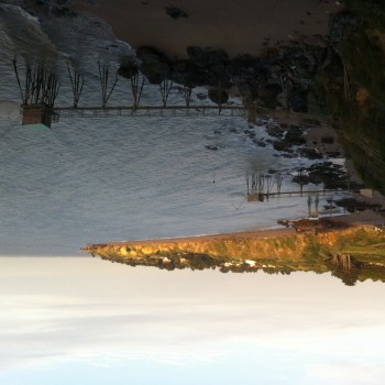 Profil von Marie-josie